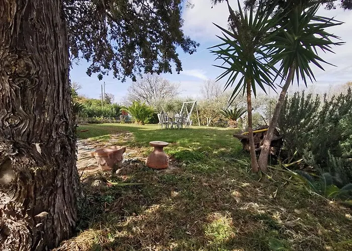 Bed & Breakfast Villa Flora Eredita