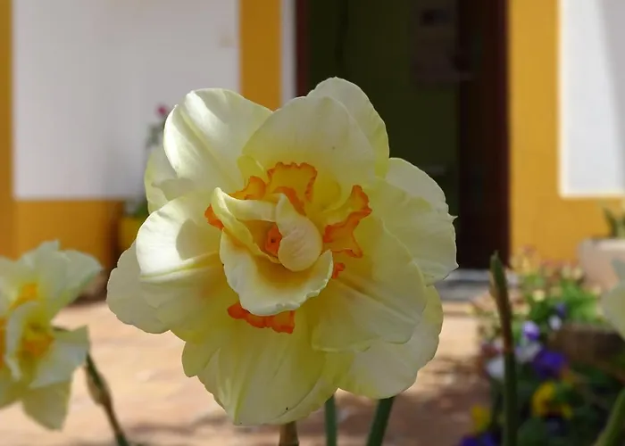 Mira Vila By Stay In Alentejo For Hikers Vila Nova de Milfontes