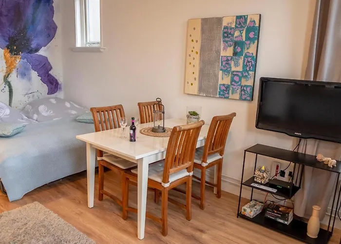 Studio in rietgedekte boerderij, geheel privé, hond vriendelijk Westerbork