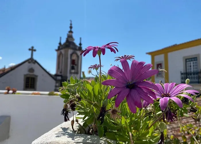 Casa Do Toupeiro