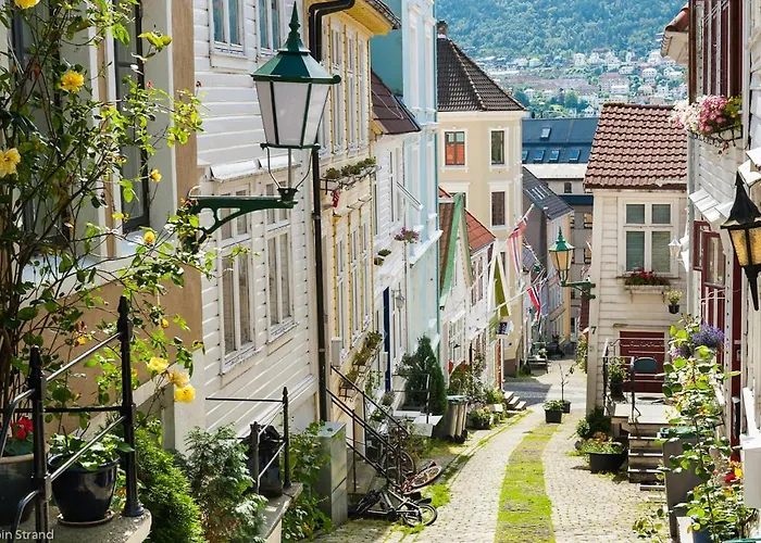 Bergen Beds