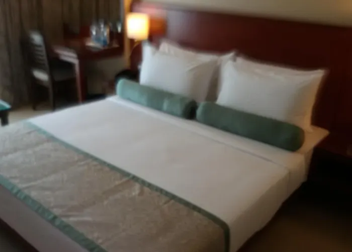 Hotel Green Olive