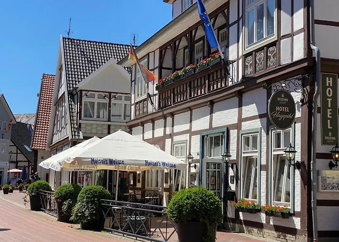 Hotel Hagspihl