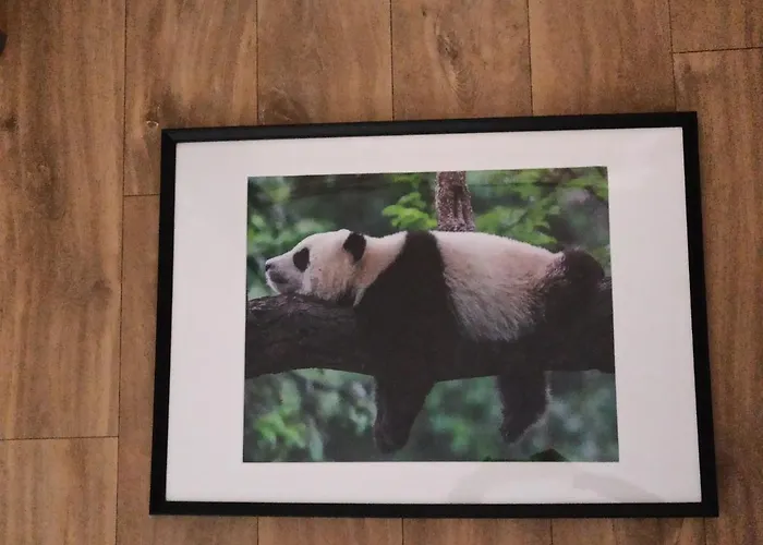 A 4 min du Zoo de Beauval La Maison à Partager Ch2 1er étage
