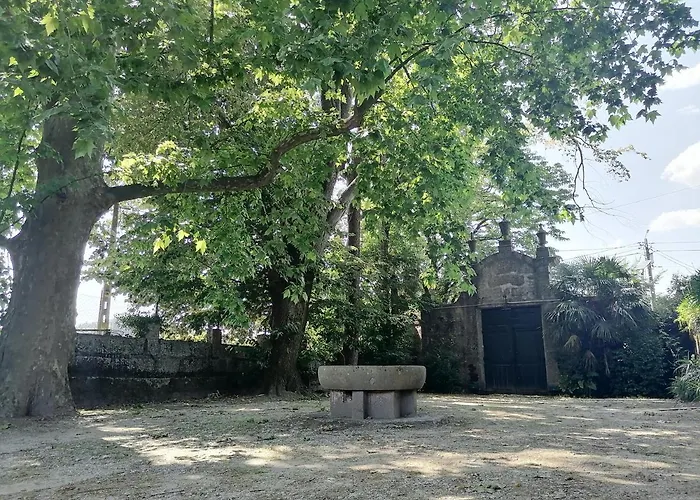 Camelia Rooms Guimarães