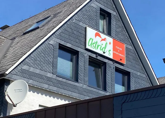 Astrid'S Pension Winterberg