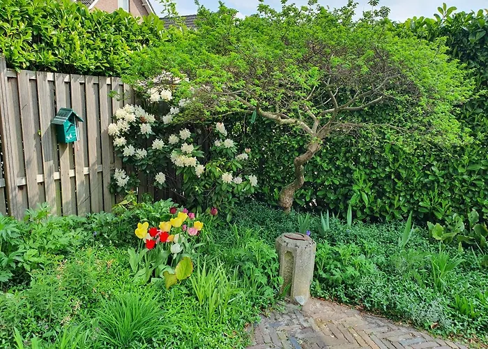 B&B de Loeff