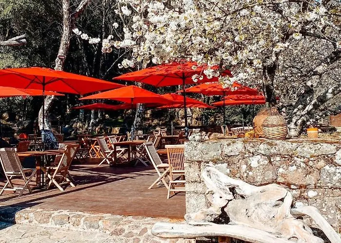 Auberge De La Foret Bonifatu