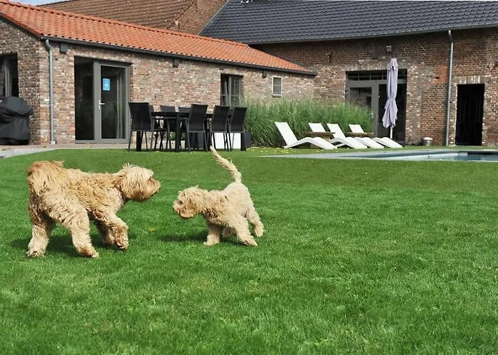 B&B Het Vuchterhof Maasmechelen