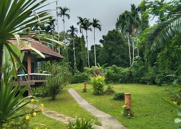 Khao Sok River&Jungle Resort