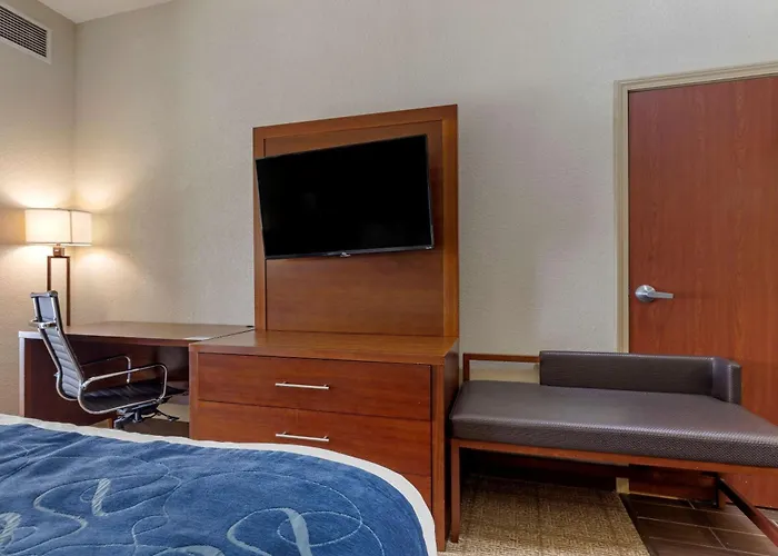 Comfort Suites Gainesville