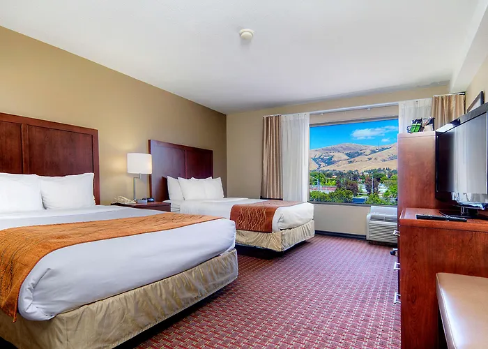 Comfort Inn Silicon Valley East Fremont