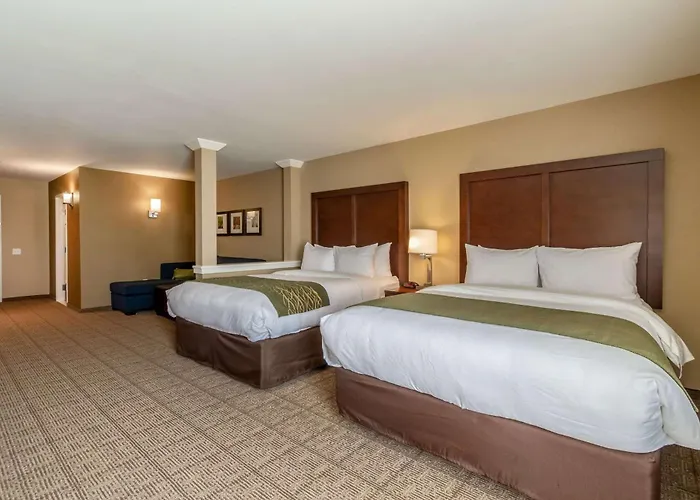 Comfort Inn & Suites - Harrisburg Airport - Hershey South