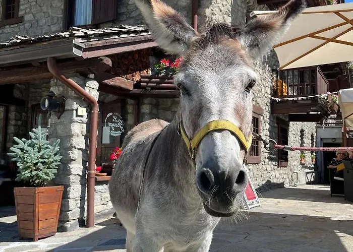 Hotel La Grange - Animal Chic Hotel Courmayeur