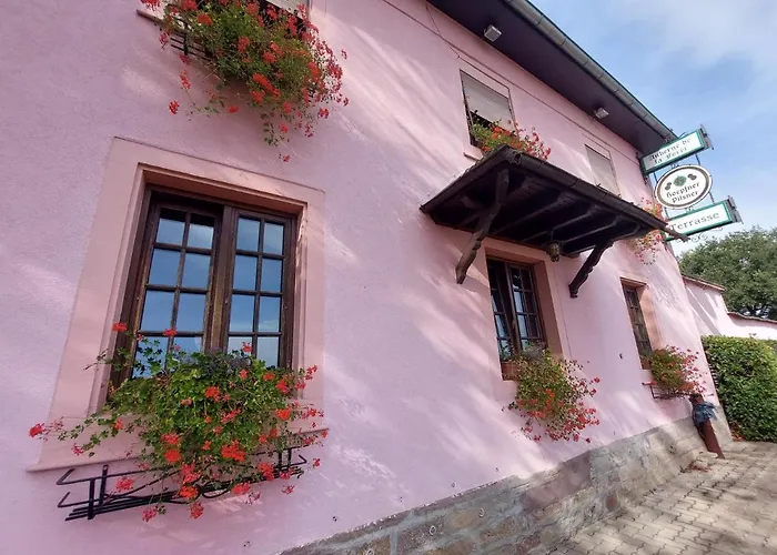 Auberge De La Foret - Logis Vendenheim