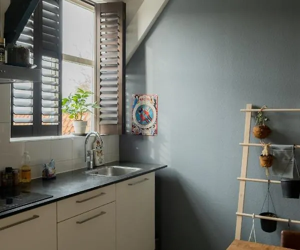 Bed And Breakfast Du Parc Zaandam