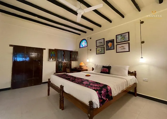Anantya In The Village