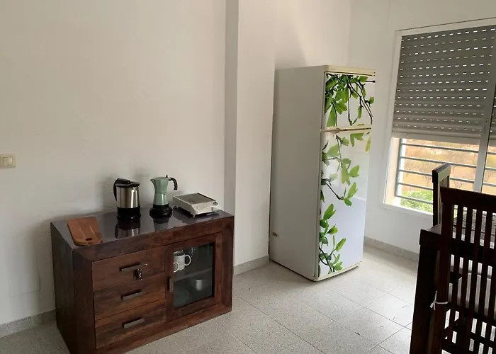 Eco Espacio Camaleón Verde 2 Cartagena