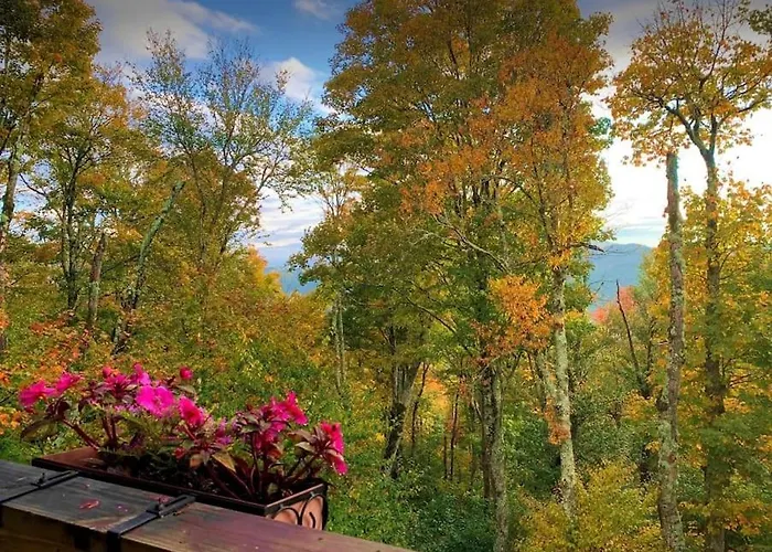 Appresski - 5 Bed Ski In Ski Out - 50 Steps To Ski Sugar Mountain Slopes
