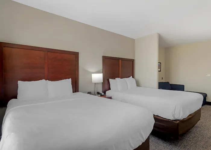 Comfort Suites Stockbridge Atlanta South