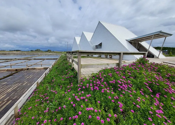 Barcos Casa Aveiro Hotel