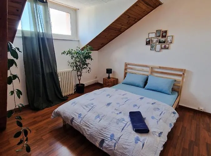 Nice Room 4 Minutes From Basel Shared Apartment Saint-Louis 