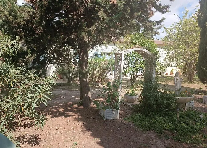 Bed and Breakfast mas des pins à Saint-Cyprien 