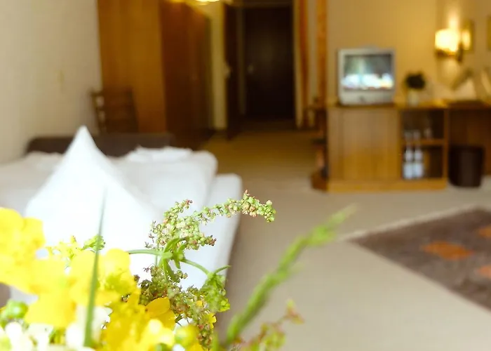 Hotel Valsana Am Kurpark Bad Wildbad