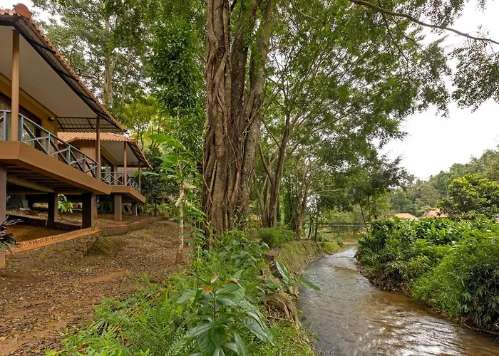 Sterling Vythiri Wayanad