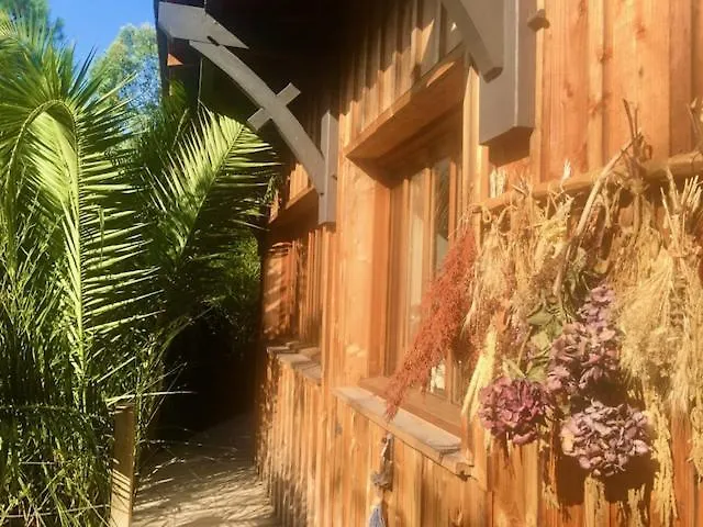 Cabane Chic au Cap Ferret Lège-Cap-Ferret