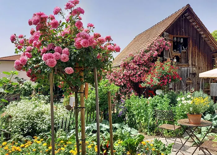 Hotel Restaurant Mohren Rankweil