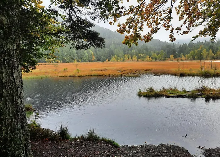 Au Cœur des Lacs - Chambres d'hôtes&Spa Gérardmer