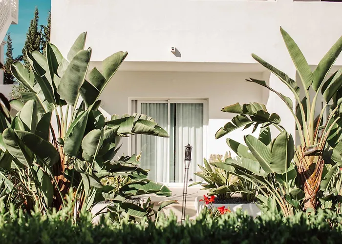 Hotel Boutique & Spa Las Mimosas Ibiza (Adults Only) San Antonio 