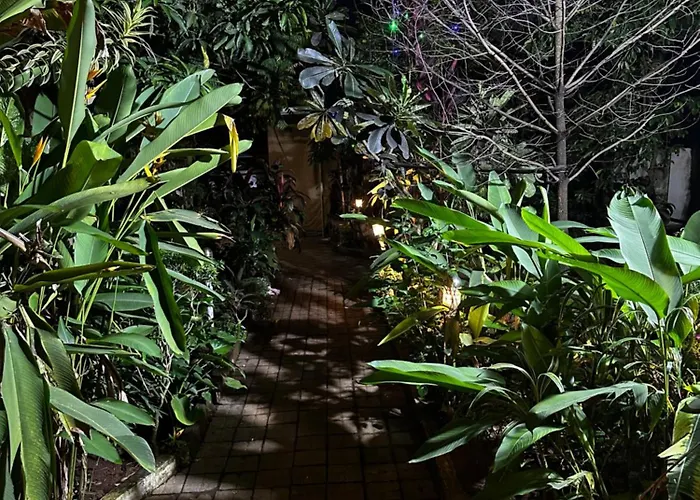 Sunshine Vagator