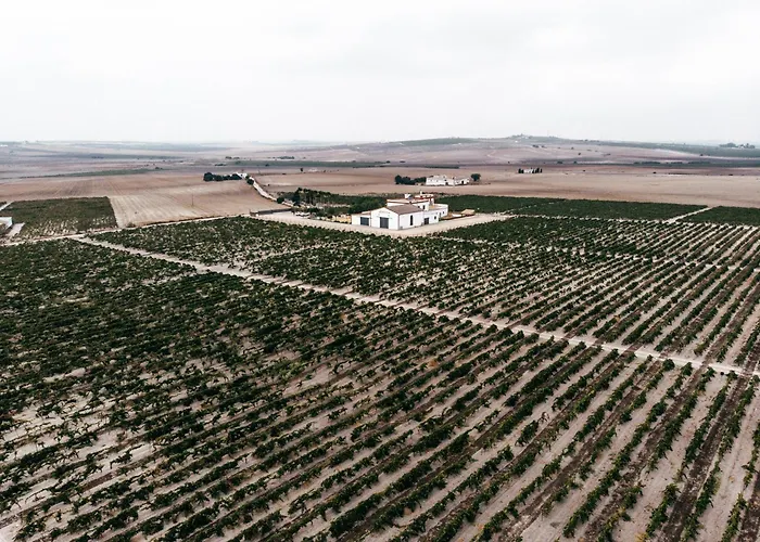 La Bendita Locura El Puerto de Santa María
