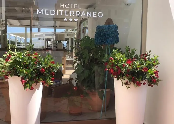 Hotel Mediterraneo Lido di Latina