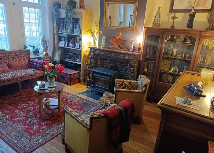 Villa des Chats Calais