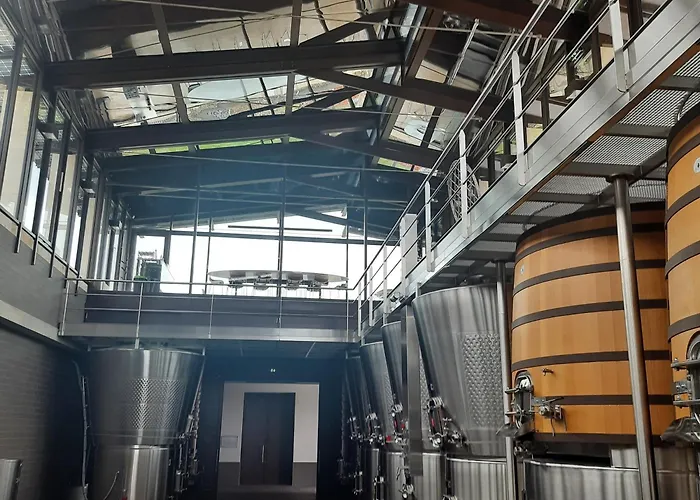 Bed and Breakfast Logis De Valandraud à Saint-Émilion