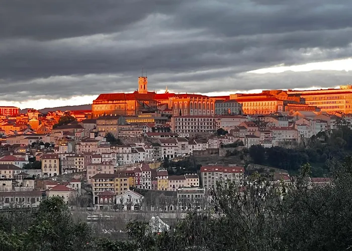 Coimbraameias