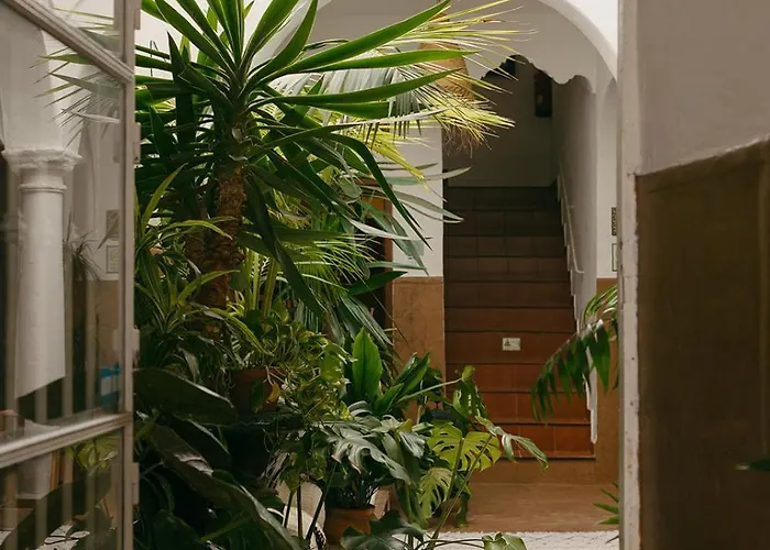 Hostal Africa Tarifa