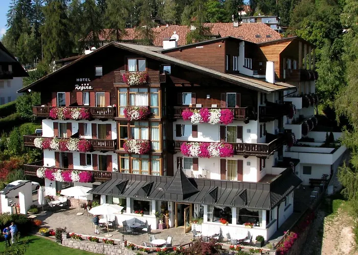 Hotel Regina Soprabolzano