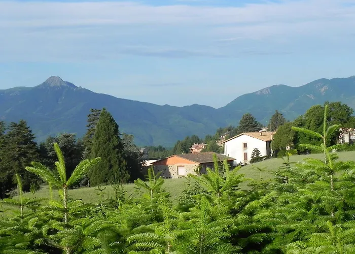 Hotel Ripoll Sant Hilari Sacalm