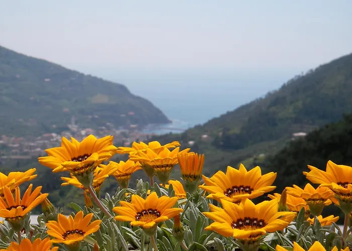L'Antico Borgo B&B Levanto