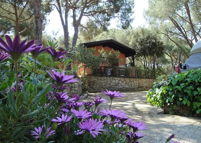 Camping Lacona Pineta Capoliveri 