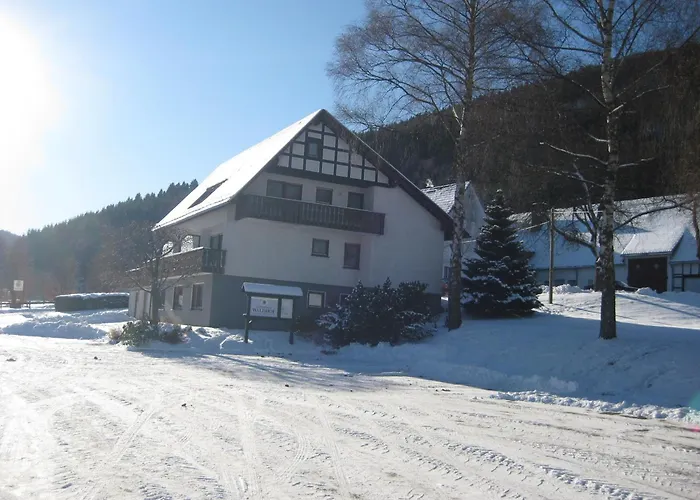 Pension-Gästehaus Waldhof Winterberg