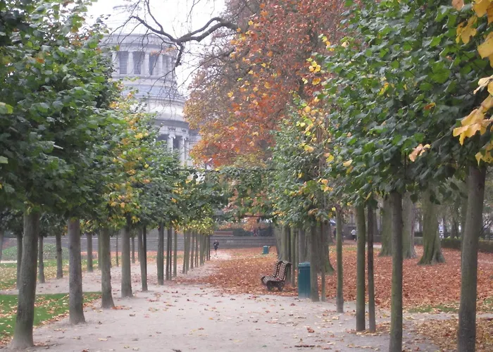 B&B A Cote Du Cinquantenaire