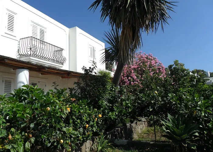 Hotel O Palmo