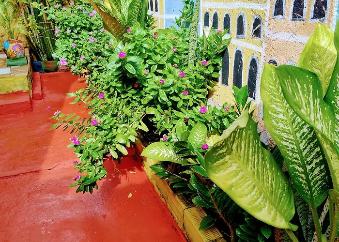 Perto Do Aeroporto De Salvador - Dona Pitanga Hostel Lauro de Freitas