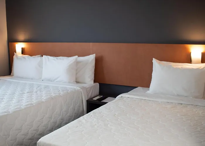 Comfort Hotel Pres. Prudente