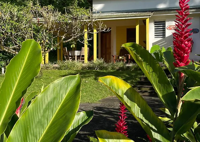 Hotel Les Cycas à Saint-Claude